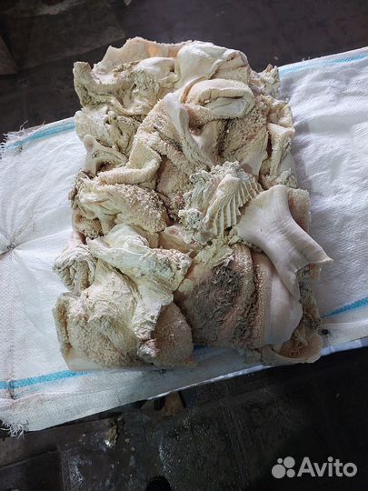 Рубец говяжий