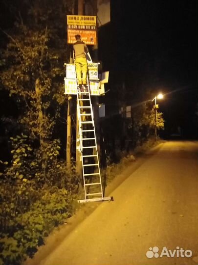 Реклама на деревьях и на столбах в ленобласти