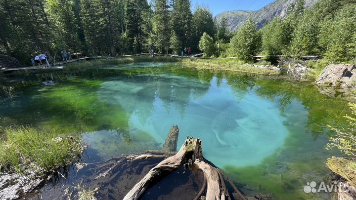 Тур 'Алтайский Марс' 3д/2н