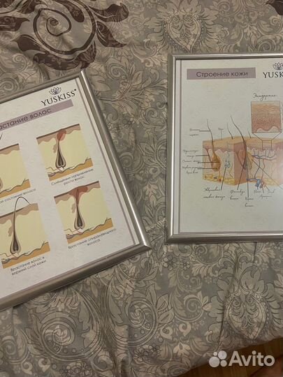 Плакаты в кабинет депиляции 3 шт