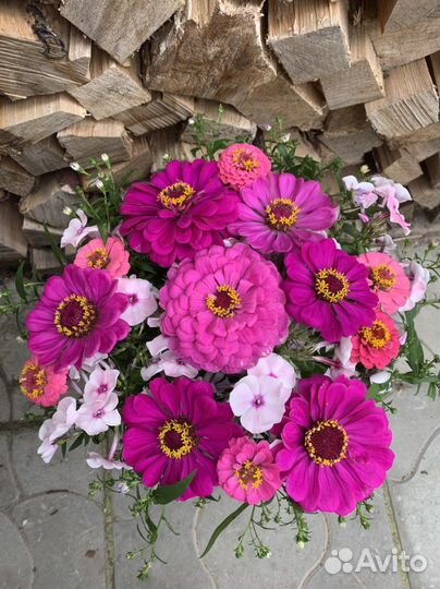 Букет полевых цветов