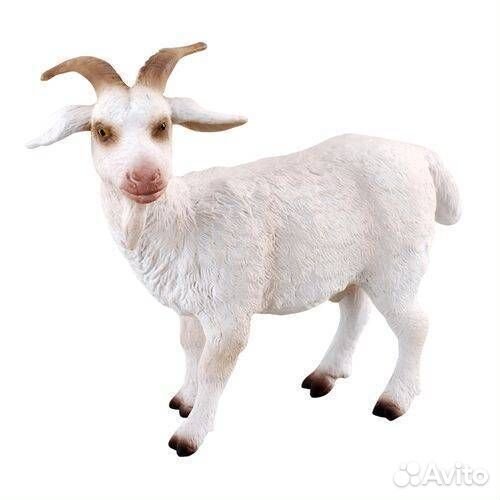 Козел, М, 88212b