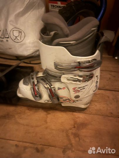 Горные лыжи женские