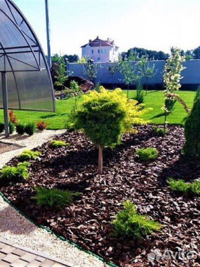 Кора сосновая / мульча