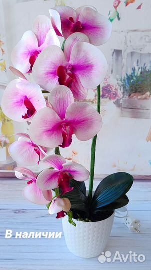 Подарок Орхидея цветы доставка