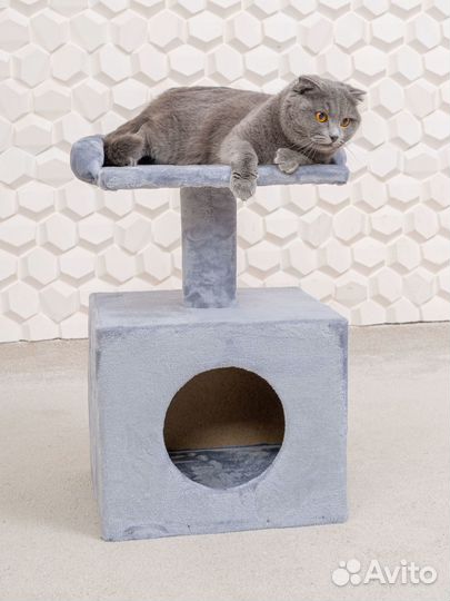 Когтеточка Домик для кошек / Игровой комплекс