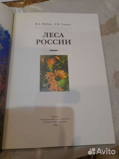 Леса России