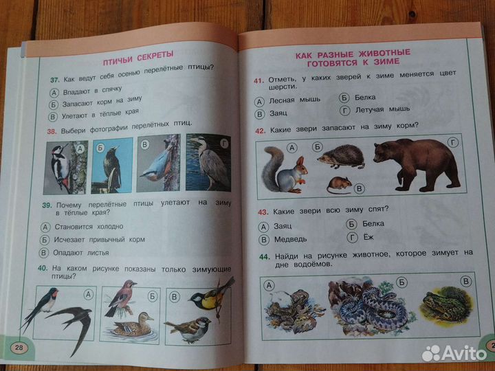 Тесты окружающий мир 2 класс