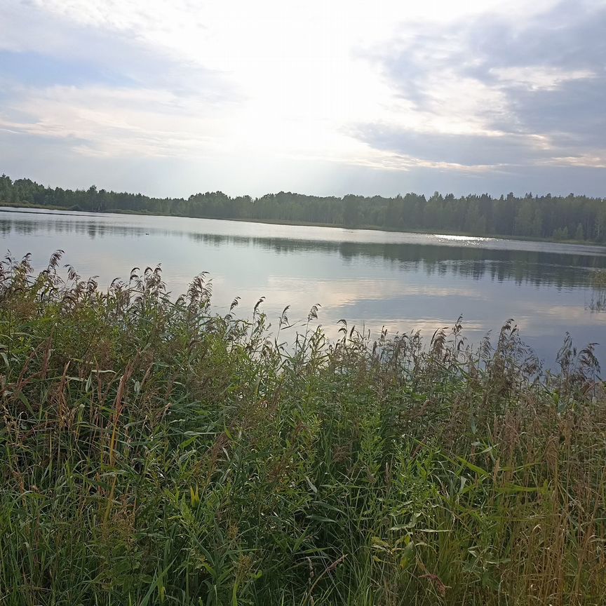 Квартира 2-комн. 47.7 м² в Комсомольск — фото 21 из 22