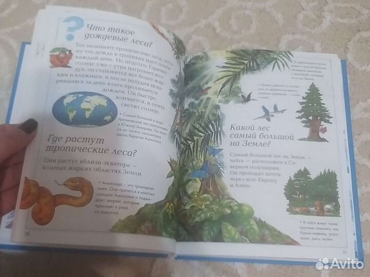 Книга энциклопедия