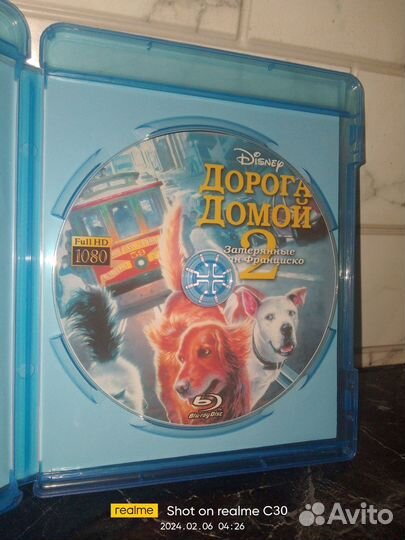 Дорога домой 2: Затерянные в Сан-Франциско 1996