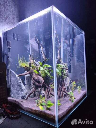 Аквариум