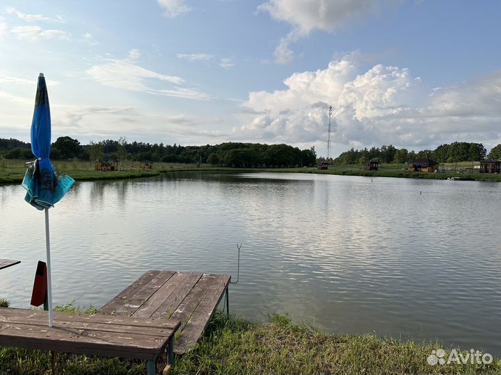 Платная рыбалка