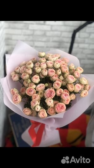 Роза кустовая