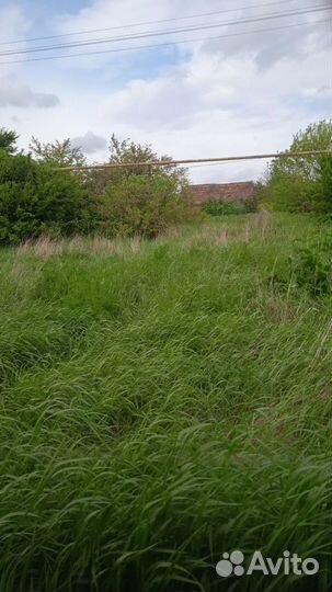 Сад, благоустройство