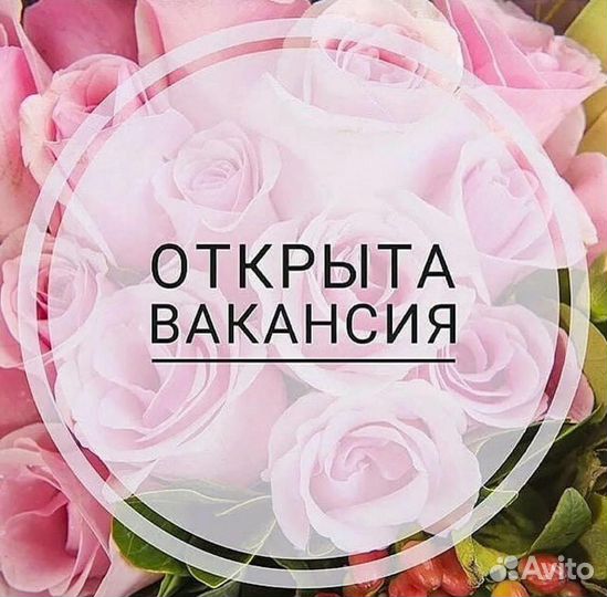 Администратор в магазин одежды в ТЦ Эльград