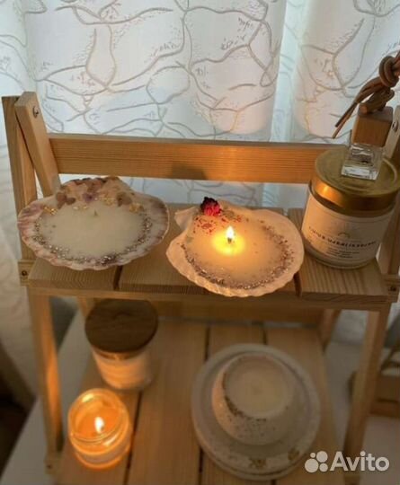 Ракушки морского гребешка