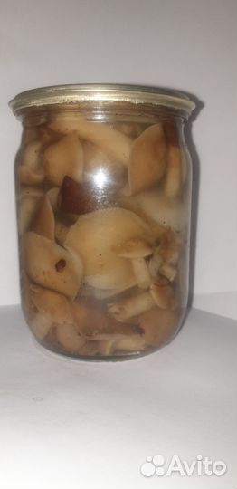 Грибы опята маринованные