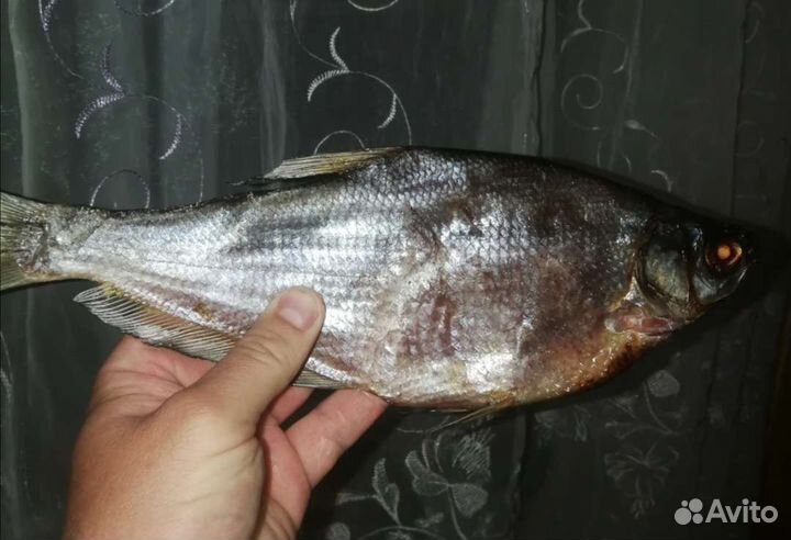 Таранка, вяленная рыба