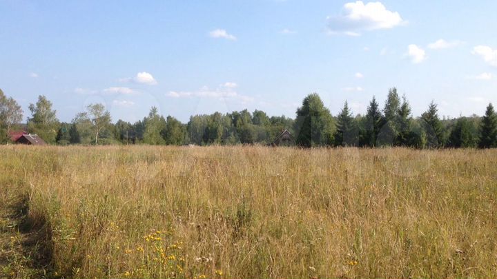 Участок 43,56 га (СНТ, ДНП)