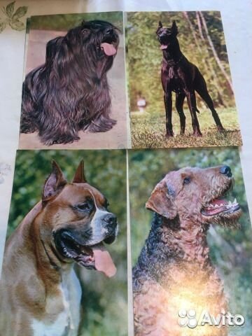 Для коллекционеров. Открытки