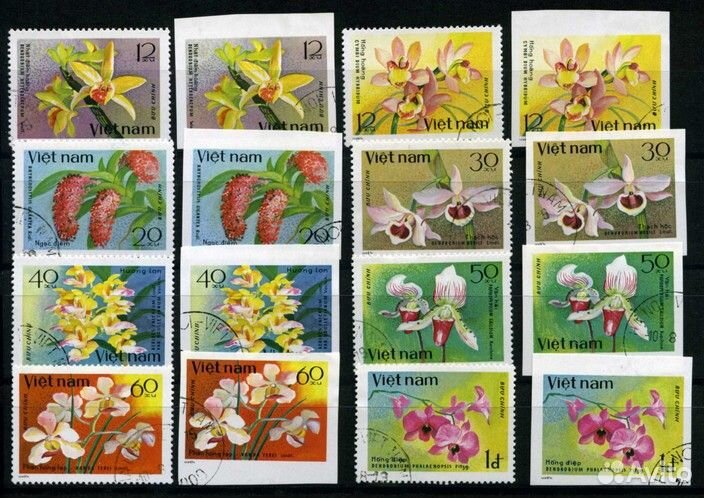 Растения, флора