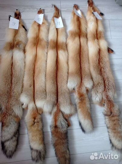 Шкуры лисы