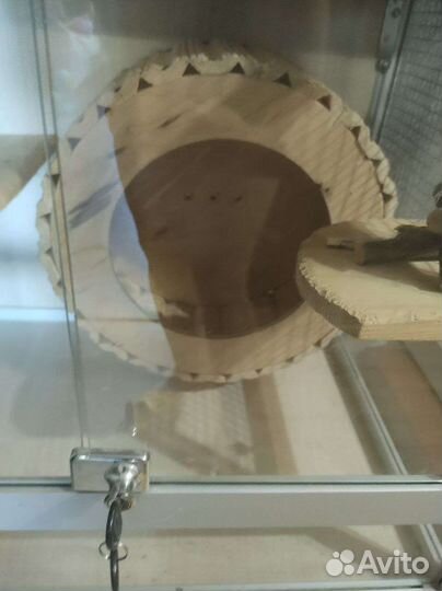 Витрина для шиншилл/дегу