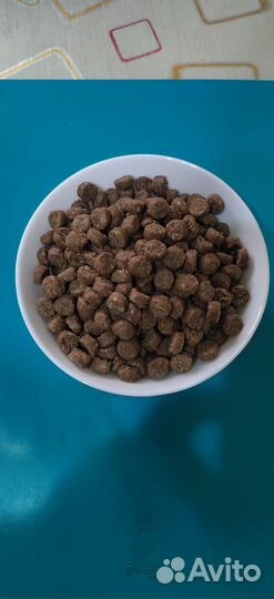 Сухой корм для Собак