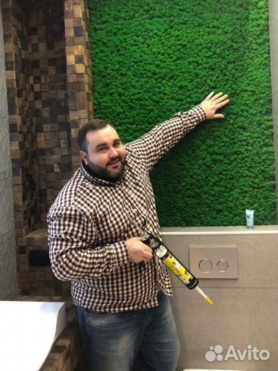 Стабилизированный мох, ягель, розница и опт