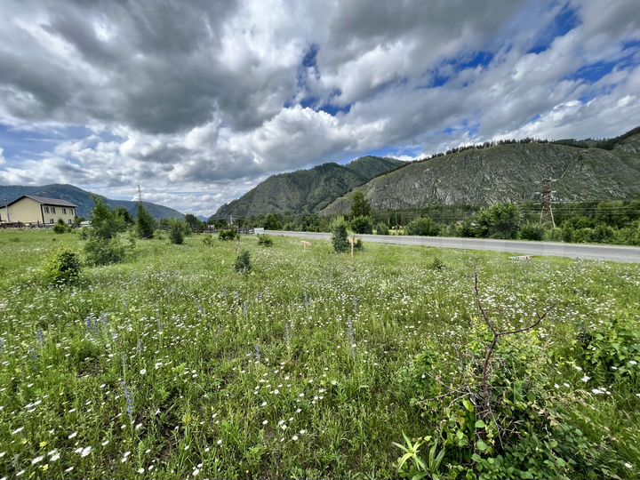 Участок 57 сот. (СНТ, ДНП)