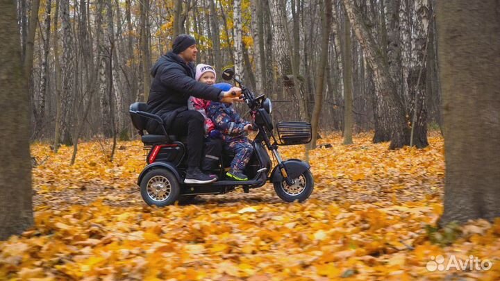 Электротрицикл White Siberia Sibtrike 2000W