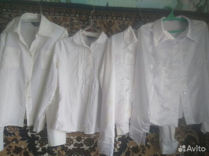 Блузки для школы девочкам