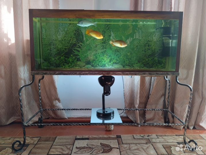 Аквариум с рыбками