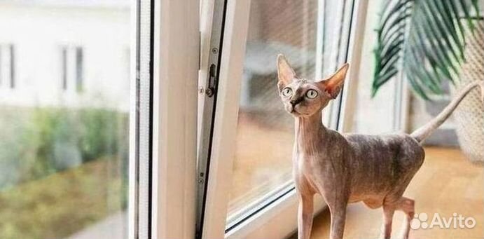 Окна быстро