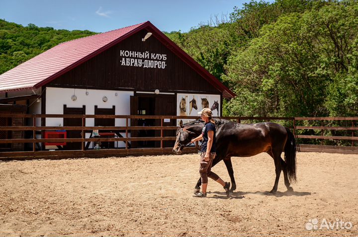Урок верховой езды (на манеже)