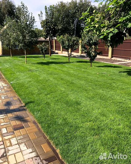 Газон. Рулонный газон