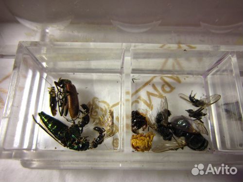 Дополнительный набор микроскопу