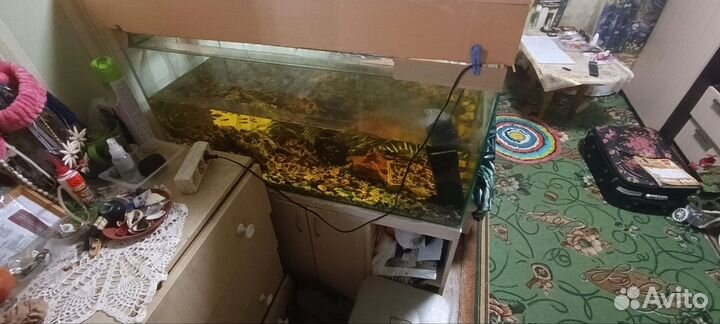 Аквариум с тумбой