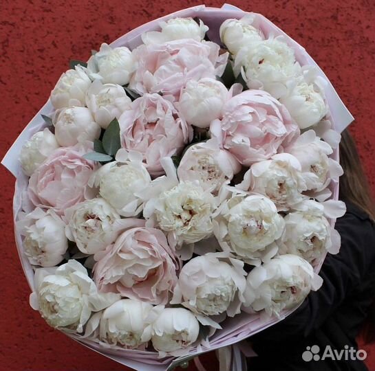 Пионы большой букет 51шт