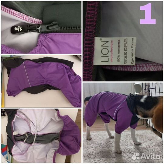 Амуниция для собак