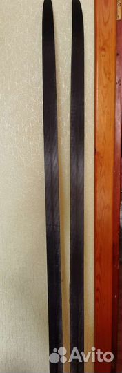 Беговые лыжи