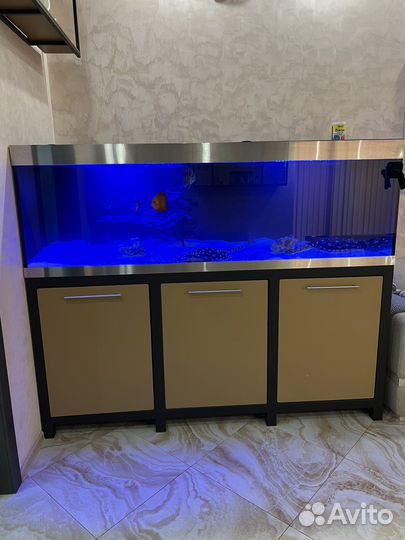 Аквариум 1500л