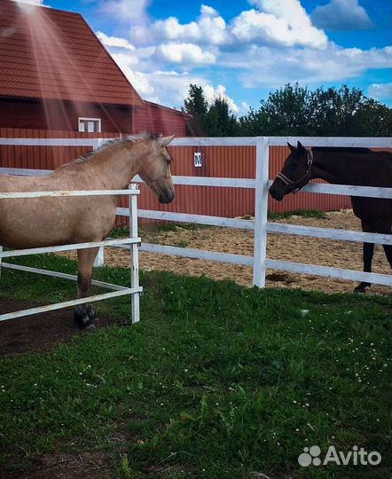 Постой для лошадей