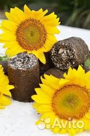 Топливные брикеты, Пеллеты из лузги подсолнечника