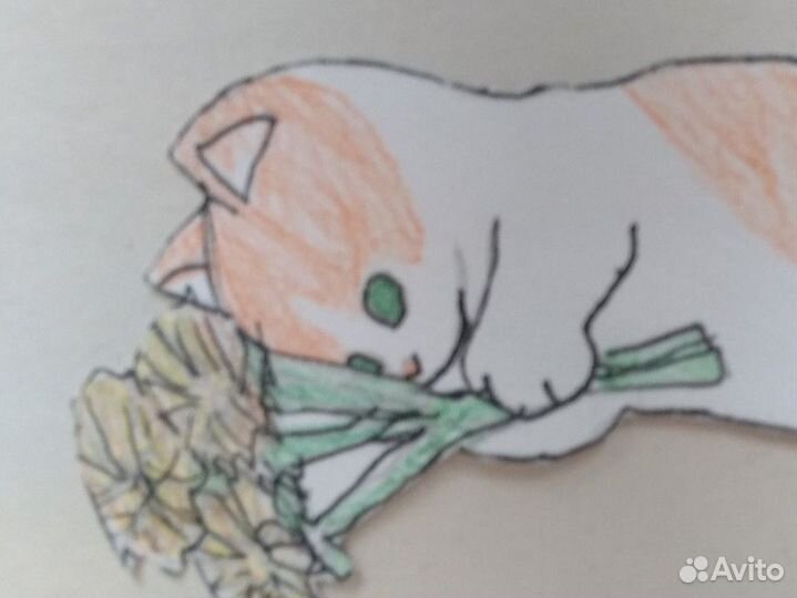 Рисунок котика