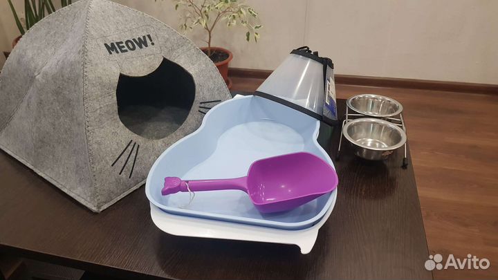 Аксессуары для кота (кошки)