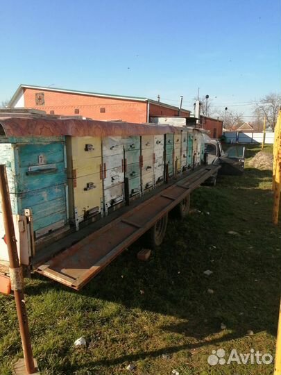 Улей для пчел бу