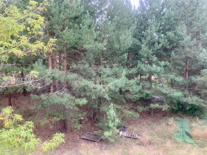 Участок 7 сот. (ИЖС)