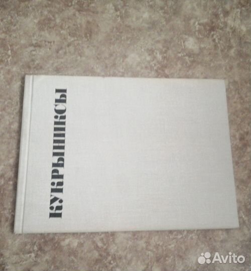 Кукрыниксы,Обвинение